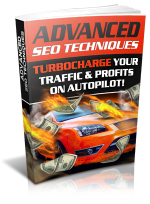 Thumbnail Advance SEO Techniques eBook