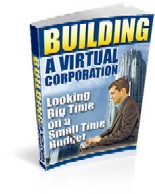 Thumbnail Building A Virtual Corporation eBook