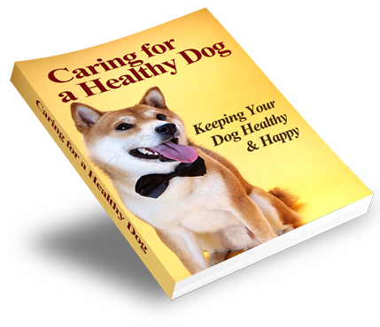 Thumbnail Caring For A Healthy Dog eBook Thumbnail Caring For A Healthy Dog eBook