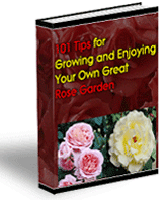 Product picture 101 Tips For Growing and Enjoying Your Great Rose Garden eBook