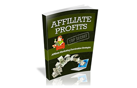 Product picture Affiliate Profits eBook