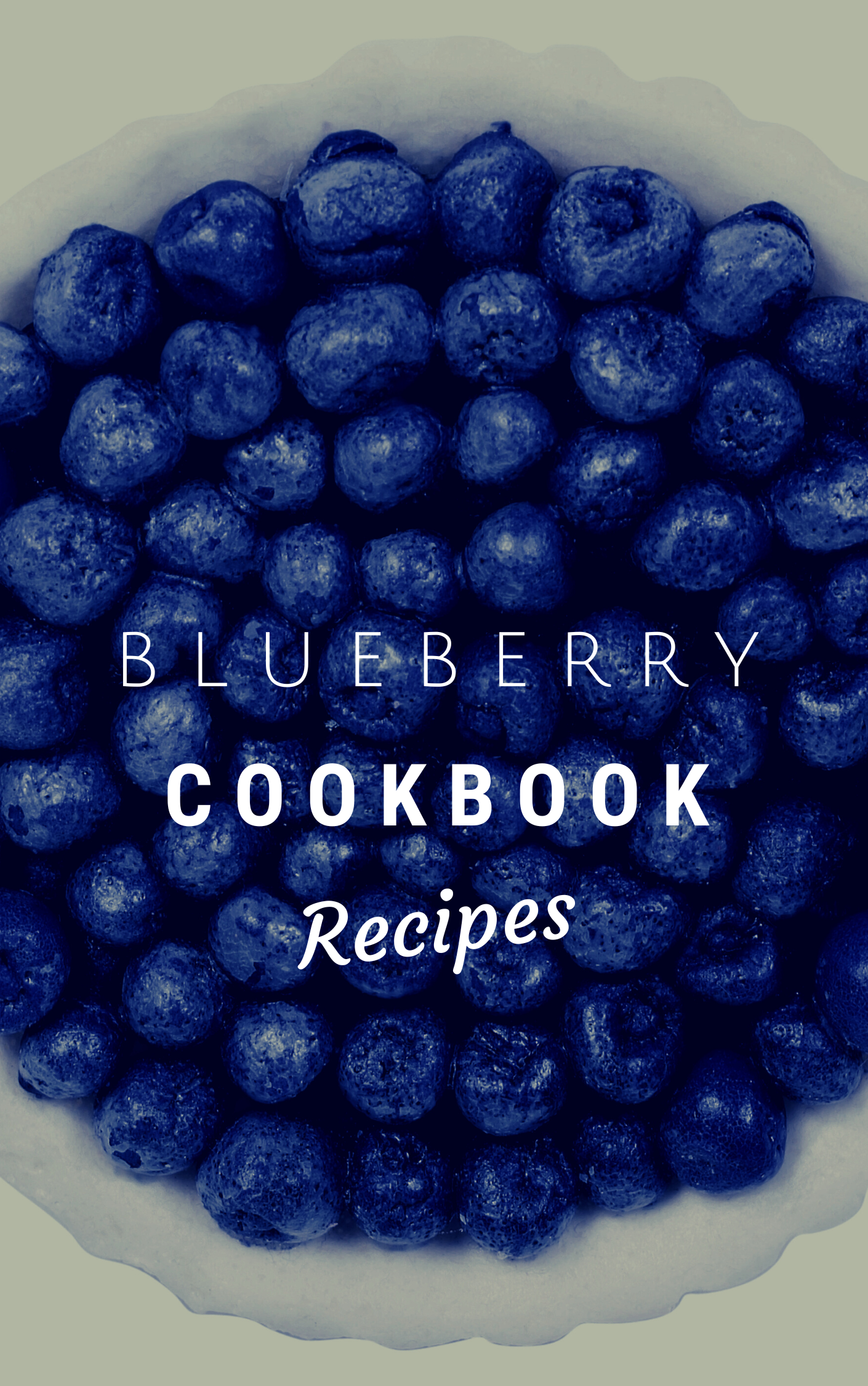 Product picture Blueberry Cookbook eBook