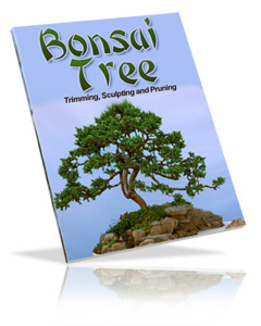 Product picture Bonsai Tree eBook