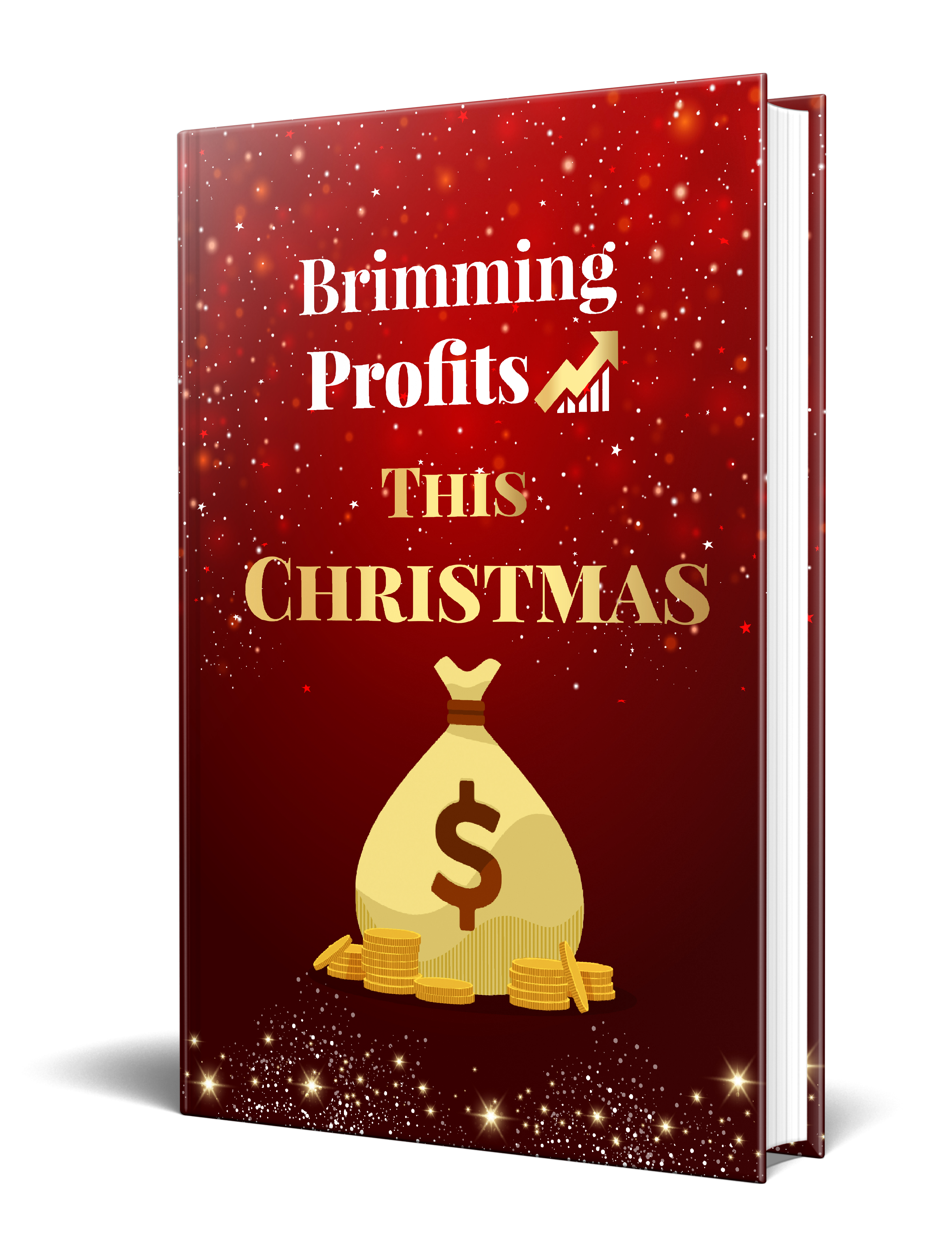 Product picture Brimming Profits This Christmas eBook