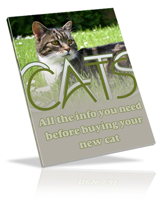 Product picture Cats eBook
