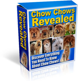 Product picture Chow Chows Revealed eBook