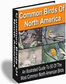 Product picture 50 Most Common Birds of North America eBook